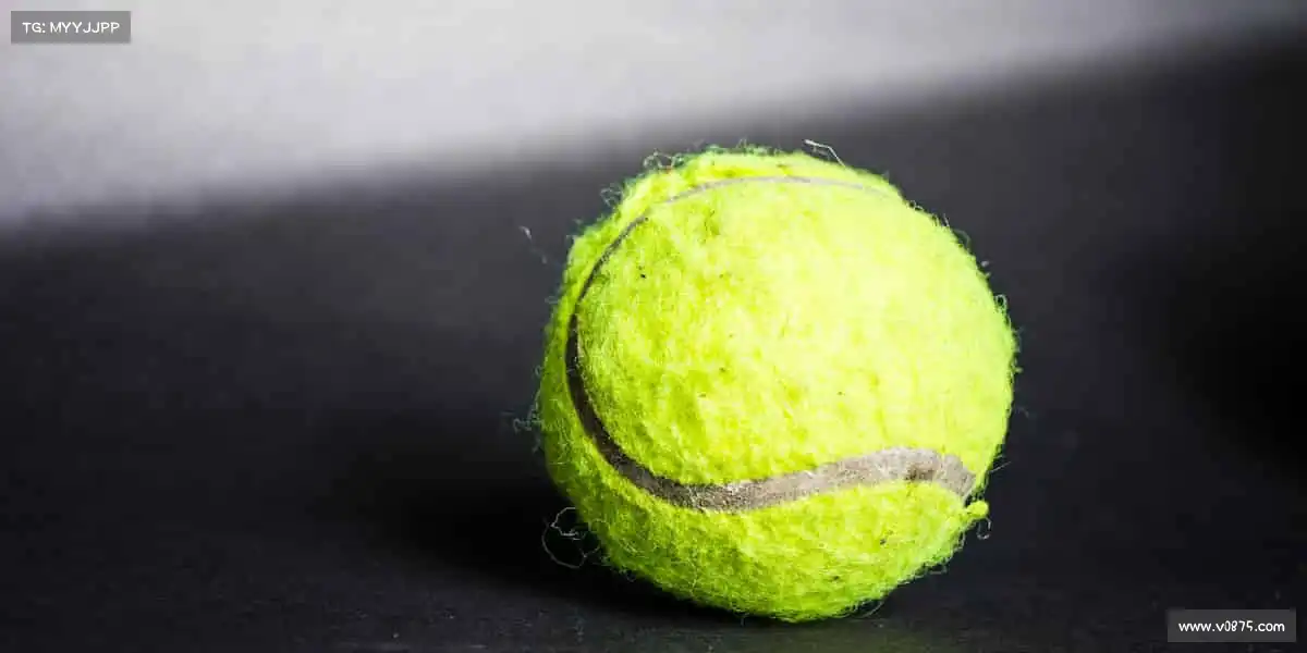 国产黑料吃瓜在线深耕影视行业沃土，让优质内容连接万千观众🤝